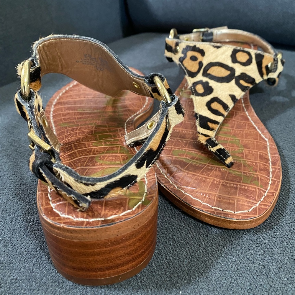 Sam Edelman Jude Leopard Print Calf Hair Thong Sandal - Picture 11 of 16